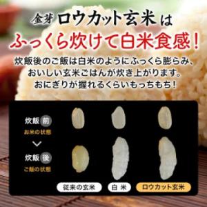 ふるさと納税 和歌山市 金芽ロウカット玄米8k...の詳細画像2