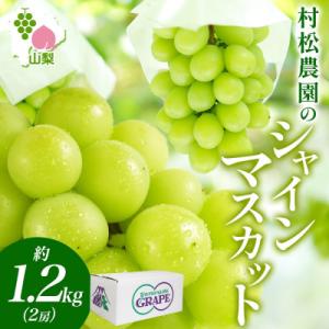 ふるさと納税 笛吹市 【2026年先行予約】農園こだわりの甘い「シャインマスカット」約1.2kg 村...