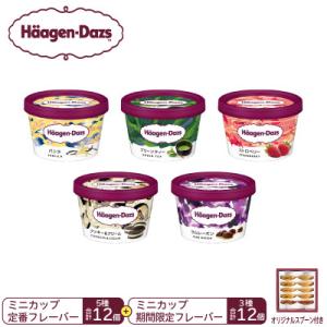 ふるさと納税 高崎市 《15B002》ハーゲンダッツ　パーティーセット