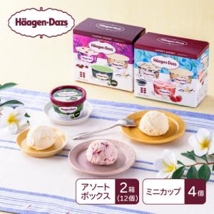 ふるさと納税 高崎市 《16A002》ハーゲンダッツ　マルチパックセット