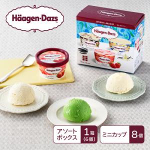 ふるさと納税 高崎市 《15A004》ハーゲンダッツ　ポピュラーセット