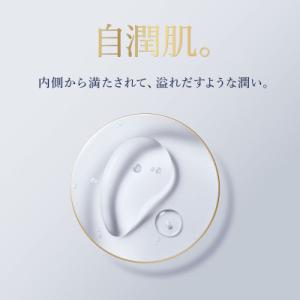 ふるさと納税 茨城県 エスティ ローダー アク...の詳細画像1