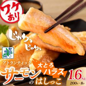 ふるさと納税 泉佐野市 【Yahoo!ふるさと納税限定】大トロサーモン ハラス 1.6kg 訳あり ...