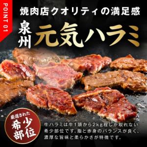ふるさと納税 泉佐野市 牛ハラミ肉 1kg(ハ...の詳細画像1