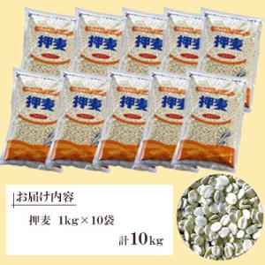 ふるさと納税 諫早市 押麦(長崎御島) 1kg×10袋
