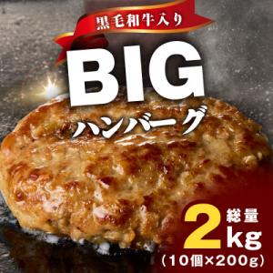 ふるさと納税 泉佐野市 BIGハンバーグ 200g×10個 黒毛和牛入り CFX0081