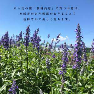 ふるさと納税 茅野市 信州八ヶ岳の麓から贈るド...の詳細画像3
