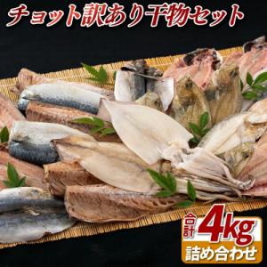 ふるさと納税 佐世保市 【かけはし水産】チョット訳あり干物セット A449