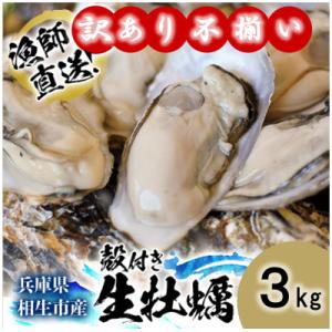 ふるさと納税 相生市 ★先行予約★《訳あり・不揃い》殻付き生牡蠣　3kg 【漁師直送!】冷蔵配送