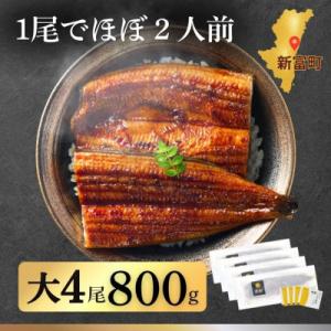 ふるさと納税 新富町 【数量限定】人気の国産うなぎ蒲焼 4尾 計約800g
