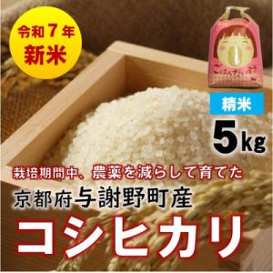 ふるさと納税 与謝野町 R7年産新米　京都丹後産コシヒカリ　精米5kg　栽培期間中、農薬を減らして育...