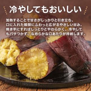 ふるさと納税 西原村 訳あり 熊本県産 さつま...の詳細画像1