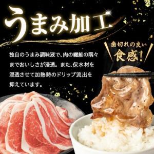 ふるさと納税 宮古市 国産 豚肉 計3kg!(...の詳細画像1