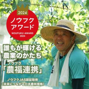 ふるさと納税 竹原市 八天堂ぶどう園 ピオーネ...の詳細画像3