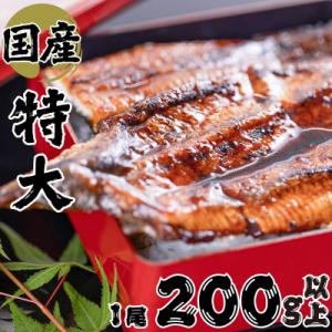 ふるさと納税 和泉市 絶品!!国産うなぎ蒲焼き　特大サイズ(約200g)