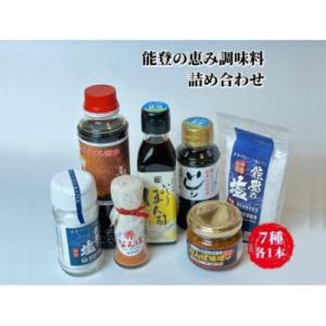 ふるさと納税 能登町 【復興支援】能登海の恵み調味料7点セット
