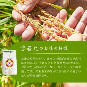 ふるさと納税 川西町 令和7年産 山形県産 雪...の詳細画像3