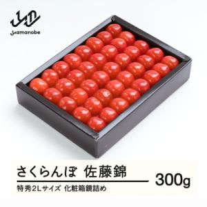 ふるさと納税 山辺町 《先行予約》さくらんぼ 佐藤錦 特秀2Lサイズ プレゼント ギフト 化粧箱入 300g｜Yahoo!ふるさと納税