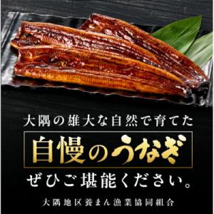 ふるさと納税 鹿屋市 【数量限定】鹿児島県大隅...の詳細画像1