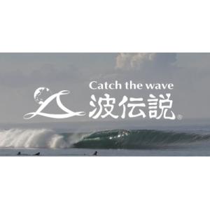 ふるさと納税 藤沢市 波伝説 年間利用券
