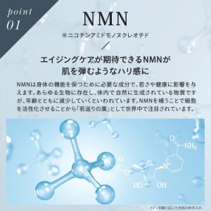 ふるさと納税 新居浜市 Make.iN NMN...の詳細画像1