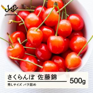 ふるさと納税 山辺町 《先行予約》さくらんぼ 佐藤錦 秀Lサイズ プレゼント ギフト バラ詰め 500g｜Yahoo!ふるさと納税