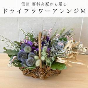 ふるさと納税 茅野市 信州八ヶ岳の麓から贈るドライフラワーアレンジメントM(パープル)