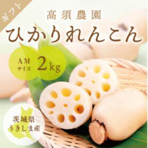 ふるさと納税 稲敷市 ひかりれんこんギフト 2kg AMサイズ 産地直送 浮島産れんこん(化粧箱入)