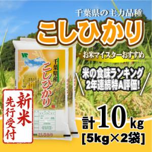 ふるさと納税 大網白里市 【令和8年産 新米先行受付!】【特A評価】千葉県産「コシヒカリ」精米 10kg(5kg×2袋)