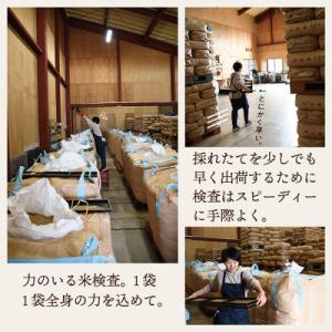 ふるさと納税 最上町 【新米先行受付 令和8年...の詳細画像2