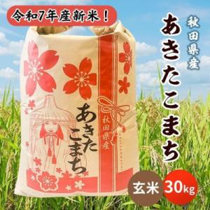ふるさと納税 潟上市 令和7年産 秋田県産あきたこまち 30kg(玄米)