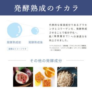ふるさと納税 入間市 【12個セット】エイジン...の詳細画像2