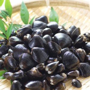 ふるさと納税 網走市 【網走産】砂出し大和しじみ 計2.6kg(200g×13)