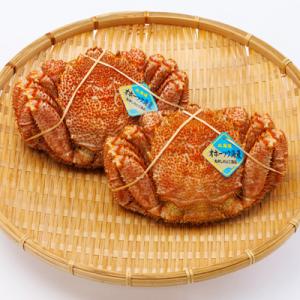 ふるさと納税 斜里町 北海道産　浜茹で毛ガニ　570g前後×2尾