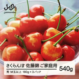 ふるさと納税 山辺町 【先行予約】ご家庭用 佐藤錦 秀品M玉以上 約540g 令和8年産 tf-snpsm540