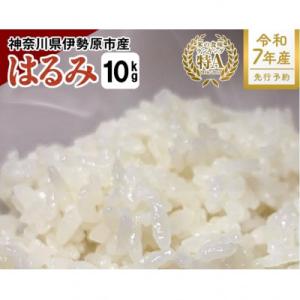 ふるさと納税 伊勢原市 新米[令和7年産]伊勢原産 精米 10kg はるみ 農家直送!加藤さんちのう...