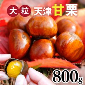送料無料】 甘茶（ あまちゃ ） 日本産 花祭り 100g （ ウチダ 和漢薬