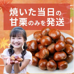 ふるさと納税 兵庫県 【先行予約】天津甘栗 2...の詳細画像2