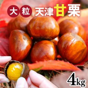 天津甘栗のおすすめ人気商品一覧 通販 - Yahoo!ショッピング