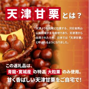 ふるさと納税 兵庫県 【先行予約】天津甘栗 4...の詳細画像1