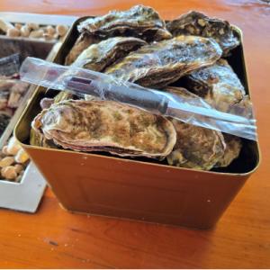 ふるさと納税 七尾市 盛ちゃん(湯田水産) 能登牡蠣 殻付き 半缶(35個前後) 約5.5kg 加熱...