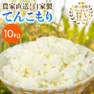ふるさと納税 伊勢原市 [令和8年産新米 11月上旬から出荷]伊勢原産 精米10kg てんこもり 農家直送!加藤さんちの米