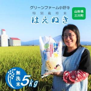 ふるさと納税 三川町 【令和7年産・精米】グリーンファーム小野寺の【無洗米】はえぬき5kg PO1-...