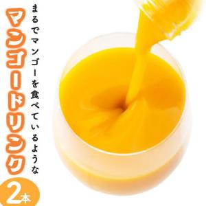 ふるさと納税 串間市 宮崎果汁　マンゴードリンク2本セット(720ml×2本)
