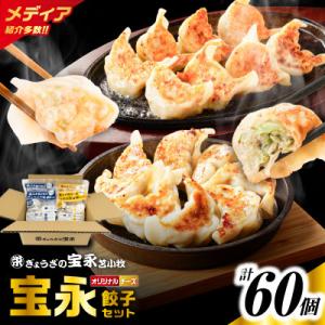 ふるさと納税 苫小牧市 手包み餃子ぎょうざの宝永 チーズ餃子60個セット(宝永餃子15個入×2袋・チ...