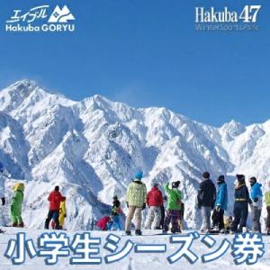 ふるさと納税 白馬村 長野県エイブル白馬五竜&amp;Hakuba47スキー場共通シーズン券【小人1枚】