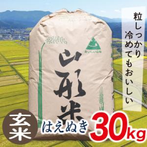 ふるさと納税 最上町 【玄米】令和7年産山形県産はえぬき30kg