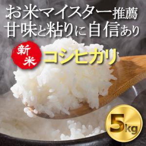 ふるさと納税 横芝光町 【令和8年産・新米】千葉県産コシヒカリ 精米5kg お米マイスター厳選/推奨 甘味と粘りに自信あり