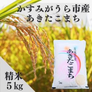 ふるさと納税 かすみがうら市 令和7年産かすみがうら市産あきたこまち  精米  5kg