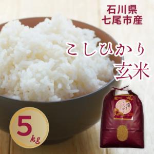 ふるさと納税 七尾市 石川県七尾市産　コシヒカリ　玄米　5Kg